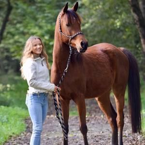 Meet your Posher, Julia